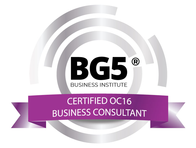 Certified Large Team Business Consultant