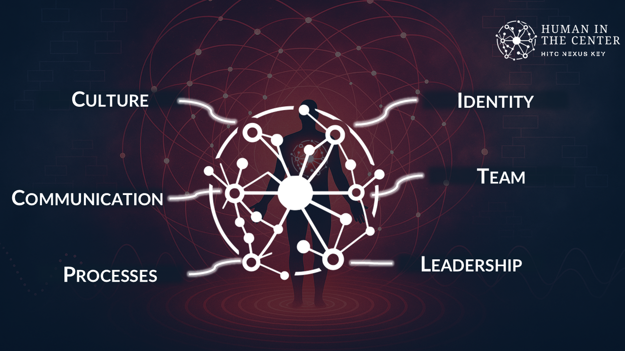Six Fields of Alignment