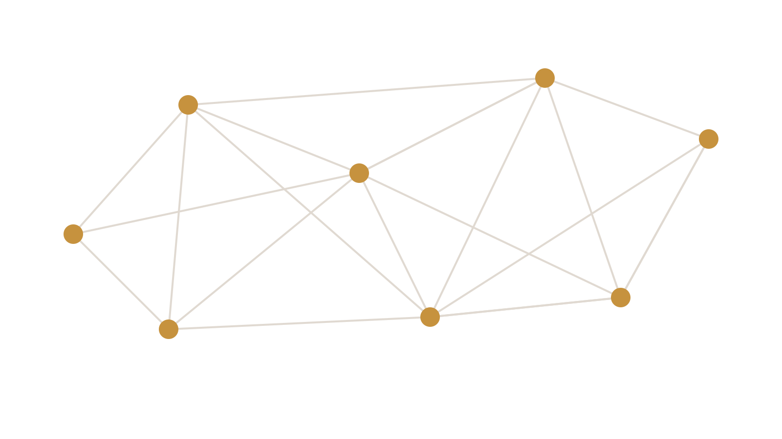gelebte-organisation